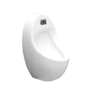 MINGITORIO SEÚL - Kalber