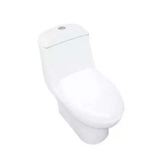 Sanitario Némesis Pro one piece